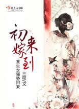 初来嫁到封面