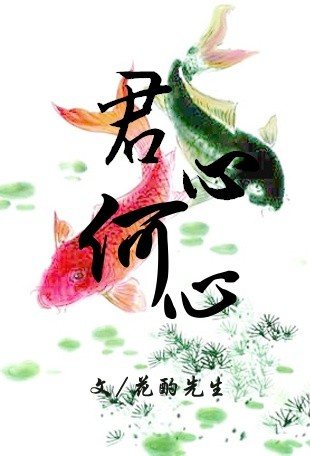 君心何心-莫问朱颜封面