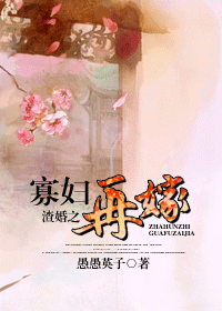 渣婚之寡妇再嫁封面