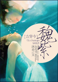 古穿今之魏紫封面