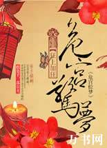 危宫惊梦封面