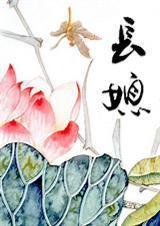 长媳封面