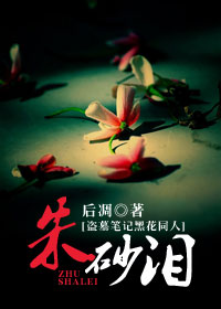 朱砂泪封面