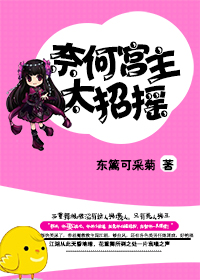 奈何宫主太招摇封面