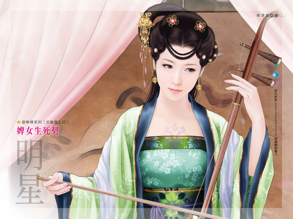 婢女生死契封面