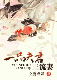 一品夫君三流妻封面