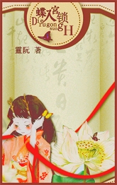 蝶入宫锁封面