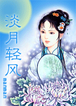 淡月清风封面