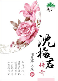 沈梅君传奇封面