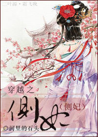 穿越之侧妃封面