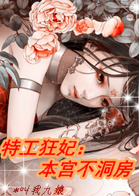 本宫不洞房封面