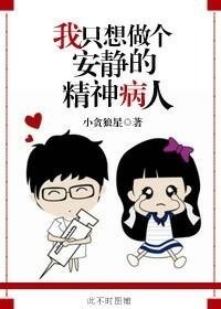 我只想做个安静的精神病人封面