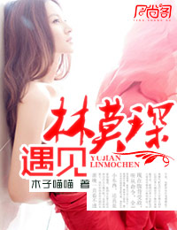遇见林莫琛封面