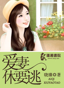 爱妻休要逃封面