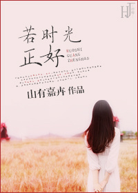 若时光正好封面