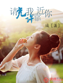 请允许我靠近你封面