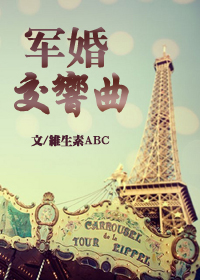 军婚交响曲封面