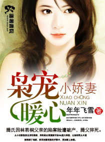 枭宠暖心小娇妻封面