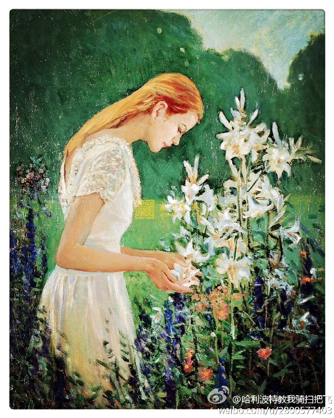 花未盛开封面