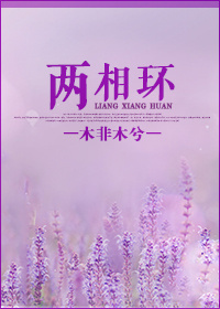 心锁--两相环封面