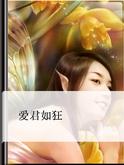爱君如狂封面