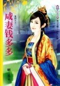 咸妻钱多多封面