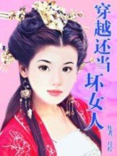 穿越之我是坏女人封面