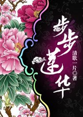 步步莲华封面
