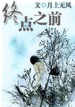 终点之前封面