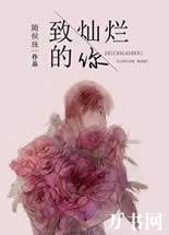 致灿烂的你封面