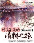 修真菜鸟的清朝之旅封面