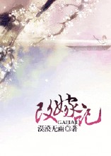改嫁记封面