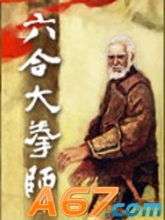 六合大拳师封面