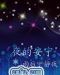 夜的安宁封面