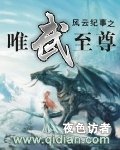 风云纪事之唯武至尊封面