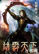 雄霸天下封面