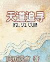 天道追寻封面