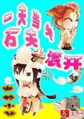 一夫当关,万夫滚开封面