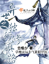 异世之独行修真路封面