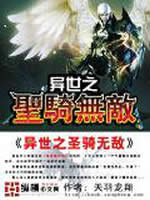 异世之圣骑无敌封面