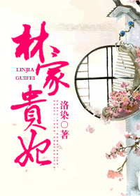 红楼之林家贵妃封面