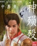 神殒殁封面