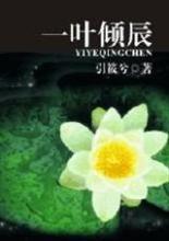 一叶倾辰封面