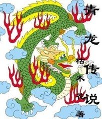 青龙传说之四御封面