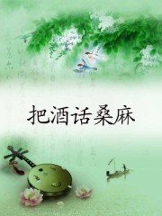 把酒话桑麻封面