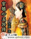 宫锁心玉外传封面