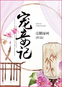 宠妾记封面