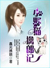 小野猫擒郎记封面