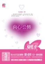 向心公转封面