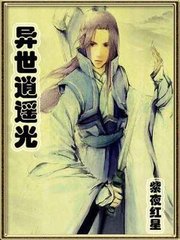 异世逍遥光封面